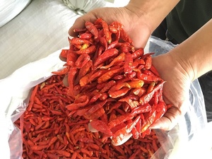 Chiles Secos en Hojuelas, Chiles Rojos Triturados, Chiles Secos Enteros, Condimento Picante para Uso en Alimentos a Granel - Product Image 4