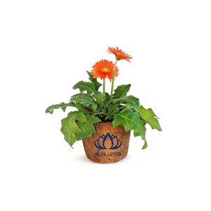 BEST SELLER Pot esthétique en fibre de coco |   Pot de fleurs rond écologique pour plantes - Product Image 1
