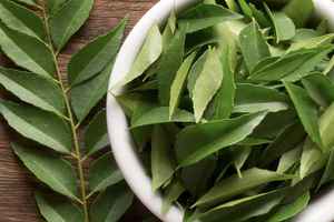 Hojas de Curry Secas Esenciales, Ingrediente para Procesamiento de Alimentos, Restaurantes y Fabricantes de Salsas - Product Image 3