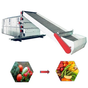 Máquina secadora de especias controlada por PLC para línea de procesamiento de frutas y verduras de jengibre seco para procesamiento de alimentos secador de especias vegetales - Product Image 1