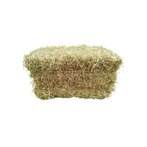 High Quality <b>Dried</b> Rhodes <b>Grass</b> Hay Feed Grade Top Grade Forage with 2 Year Shelf Life for Agricultural and Commercial Use - Product Image 2