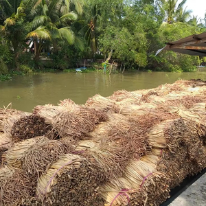 ผักตบชวาแห้งเกรด A จากเวียดนาม เหมาะสำหรับทำเฟอร์นิเจอร์ตะกร้าและงานฝีมือ 28 ANGLE - Product Image 1