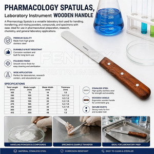 Espátulas Farmacéuticas de Acero Inoxidable de Alta Calidad con Mango de Madera, Espátula para Mezclar Polvo y Ungüento de Laboratorio - Product Image 4