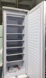 Congelador Vertical de 198 Litros con Energía Solar de 7 Capas, Batería de Gel de Plomo-Ácido de 24V CC, Producción de Hielo de 60 kg por Día, Adaptador de CA - Product Image 4