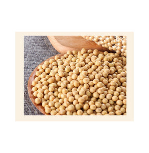Soja jaune en vrac de qualité alimentaire supérieure pour le commerce de gros international - Product Image 6