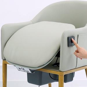 Silla Elevadora Eléctrica para Personas Mayores, Silla Reclinable para Sentarse y Ponerse de Pie, Silla de Apoyo para la Movilidad 154Chair - Product Image 4