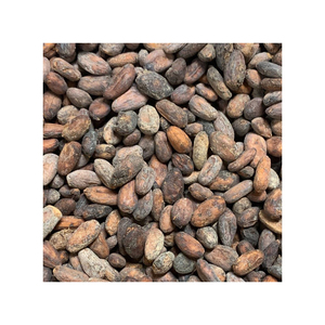 Fournisseur en gros de fèves de cacao de la meilleure qualité à vendre à prix avantageux - Product Image 3