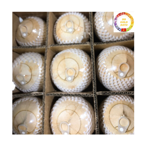 Noix de coco jeune et fraîche |   Bouton d'ouverture facile |   Eau douce |   Idéal pour les entreprises hôtelières et côtidiennes |   Exportation du Vietnam - Product Image 1