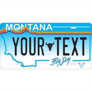 CIFbuy Placa Decorativa Metálica Personalizable de Minnesota con Estrella del Norte Brillante para Servicio de Recogida Temu TikTok - Product Image 4