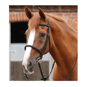 Bridon de cheval en cuir italien de qualité supérieure avec sangles réglables pour un ajustement sûr et une conduite confortable – Modèle Hunter - Product Image 1