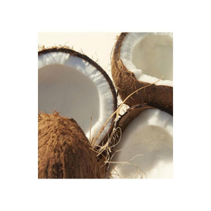 Frozen Coconut Meat White Pieces Shred Coconut Bulk Vacuum Pack for Dessert Beverage and Food Processing - Product Image 3