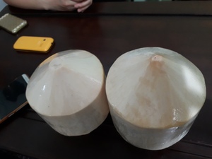 มะพร้าวอ่อนพรีเมียมสด หั่นเป็นรูปทรงเพชร 100% ธรรมชาติ สำหรับส่งออก - Product Image 5