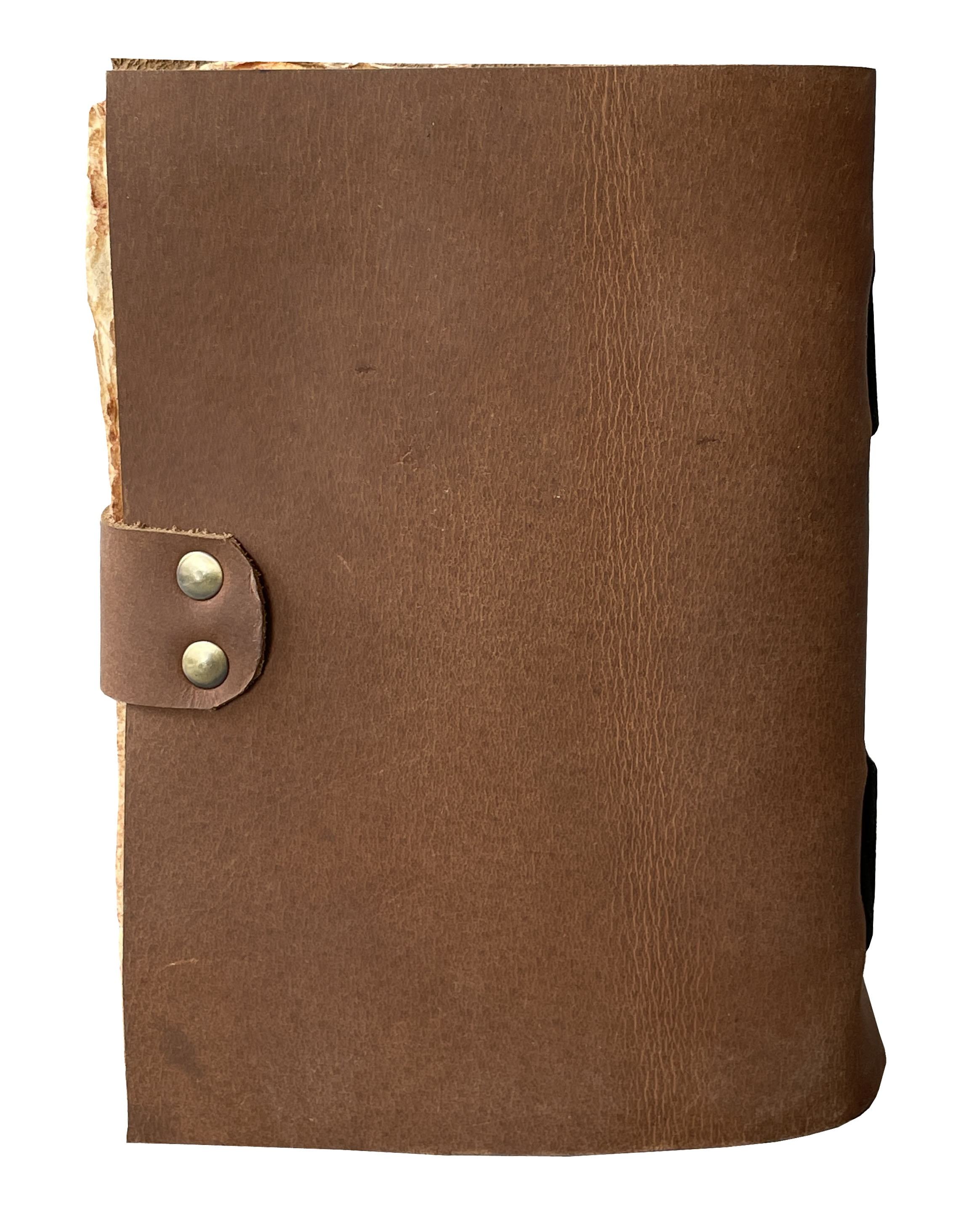 สีน้ำตาล