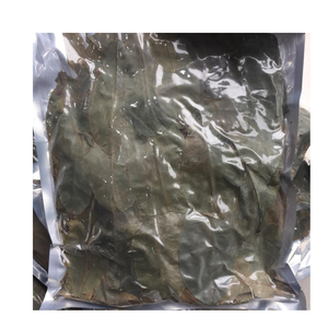 Premium Loose Dried Soursop Leaves for <b>Tea</b> Production Bulk Supply Organic Graviola Leaves Export Standard Vietnam - Product Image 2