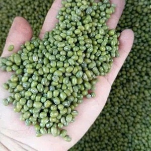 Fideos de Frijol Vietnamitas para Supermercado con OEM y Muestras Gratis - Product Image 6