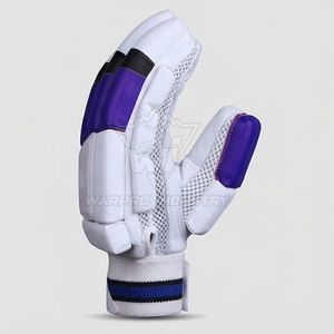 Gants de cricket haute performance, maintien durable pour l'entraînement au battement et les matchs de compétition, gants de sport pour le cricket - Product Image 2