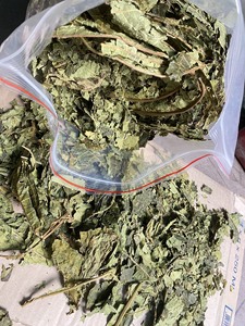 GRAN VENTA |   Hojas de Papaya Secas Premium, Té de Hojas en Rodajas, Envasado al Vacío para Extracción de Bebidas y Cocina, de Blue Lotus - Product Image 6