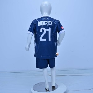 Conjunto de Camiseta de Fútbol para Niños Victory, Impresión Sublimada, Cuello Redondo, Manga Corta, Absorbe la Humedad, Corte Regular, para Todas las Temporadas, Personalizable - Product Image 2