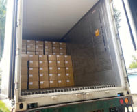 Fabrieksdirect Darlac Farms Vietnam Oorsprong Diepvries Durian IQF 20kg Bulk Export Standaard Private Label OEM Leverancier