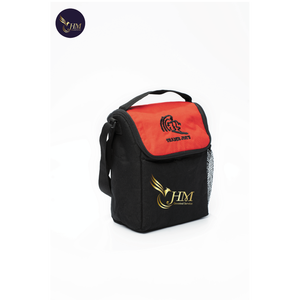 Eco-Friendly 600D Insulated Portable Handled Cooler Lunch Bag with Zipper Closure Custom Logo High Quality Thermal From Vietnam - Product Image 2
