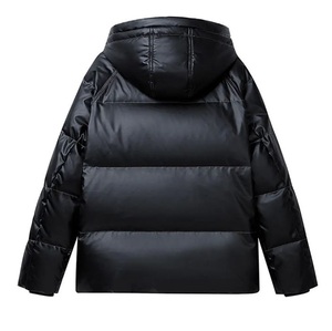 Chaqueta Acolchada con Capucha para Hombre, Negra, Cortavientos, Relleno de Poliéster, Cierre de Cremallera, Corte Regular, Informal, para Invierno - Product Image 2