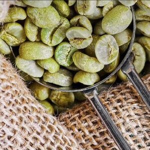 Direct Factory Supply Specialty Robusta Green <b>Coffee</b> <b>Beans</b> Size 18, USDA & ISO 22000 Certified, Low Defect 0.1%, Vietnam Export - Product Image 1