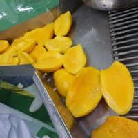 Vietnam Tien Giang Gesneden Gedroogde Mango met Suikerpasta Conservering 5% Vochtgehalte Zoete Smaak Cadeau & Bulkverpakking voor Export naar Nederland