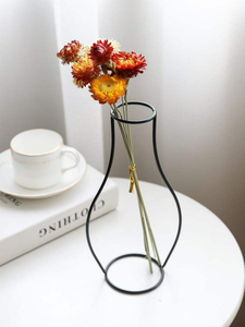Porte-fleurs moderne en fer, vase de sol sans cadre, jardinière décorative minimaliste pour la maison, décoration de Noël, lot de 6 - Product Image 6