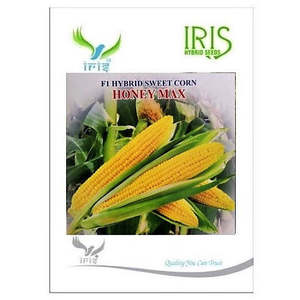 IRIS Vegetales Híbridos, Maíz Dulce Híbrido F1, Semillas de Maíz <span class=keywords><strong>Blanco</strong></span> Orgánico Sin OMG para Alimentación Animal, Maíz Amarillo Seco Estilo Honeymax - Product Image 1