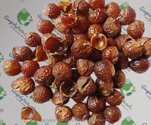 Vegano Reetha fruta en polvo a granel proveedor de India ingrediente herbal - Product Image 3