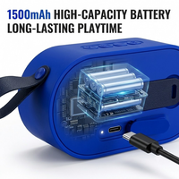 Haut-parleur sans fil longue portée LN-1008BT 6W avec basses puissantes, son oblong, batterie améliorée 1500 mAh, prise en charge USB et carte TF, usine OEM
