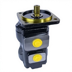 Bomba Hidráulica Personalizada para Aplicaciones Especiales, Bomba Hidráulica con Tecnología Estándar a Precio Accesible - Product Image 1