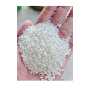 Arroz roto disponible para compras al por mayor con precios competitivos en el mercado - Product Image 4