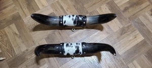 Mounted Steer Horn Set Eco-Friendly Handmade <b>Rustic</b> Modern Animal Love Polished Horns Bull Western Home Decoration Easter - Product Image 4