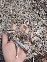 Anchois séchés Ocean Harvest de Blue Lotus Vietnam 2026
