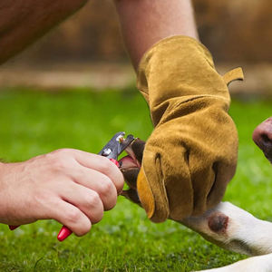 Guantes de Soldadura de Cuero Vacuno Personalizados de 16 Pulgadas con Forro de Algodón, Resistentes al Calor y a las Llamas - Product Image 1