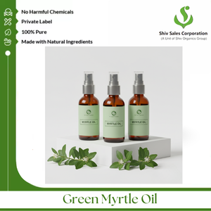 Aceite de Mirto Verde para Exportación, para Compradores a Gran Escala en las Industrias de Productos Cosméticos y Aromáticos - Product Image 4