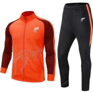 Ensembles de survêtements de sport d'été et d'automne de haute qualité, pull oversize ample, survêtements de jogging, ensembles de sweat-shirts à capuche et pantalons de jogging vierges - Product Image 6