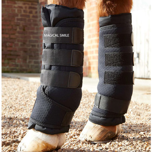 Protégez et soutenez les pattes de votre cheval avec des bandages et enveloppes de protection, idéaux pour les déplacements en écurie ou les soins après l'exercice. - Product Image 5