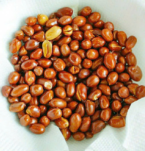 Fabricante Vietnamita OEM de Cacahuetes Tostados Crujientes y Salados, Bocadillos de Marca Privada - Product Image 6