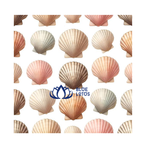 พวงมาลัยเปลือกหอยเชลล์สีน้ำเงินแบบธรรมชาติรักษ์โลก สำหรับตกแต่งบ้านสไตล์เรียบง่าย งานฝีมือ DIY ศิลปะพื้นบ้านโบราณ ตามหลักฮวงจุ้ย - Product Image 1