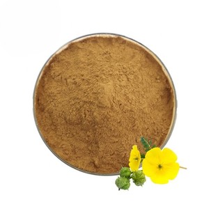 ผง Tribulus Terrestris เกรดอาหาร สำหรับบริโภคเป็นอาหารเสริม ช่วยส่งเสริมการย่อยอาหารอย่างดีและสุขภาพทั่วไป - Product Image 3