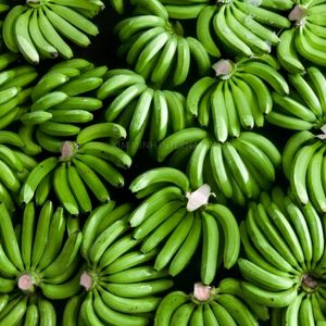 Bananes Cavendish vertes fraîches de haute qualité en provenance du Vietnam - Product Image 6
