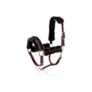 Cabestro de cuero para caballo con herrajes de latón para uso ecuestre - Product Image 2