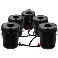 Sistema Hidropónico DWC de 5 Galones con 5 Cubetas, Kit de Cultivo en Agua Profunda, Bomba, Piedra de Aire, Equipo de Irrigación e Hidroponía