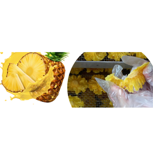 Offre de Gros : Ananas Séché Doux et Naturel, Snack Déshydraté en Sac PP – Fournisseur Vietnamien - Product Image 3