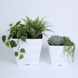 Wholesale Minimalist White Wavy <b>Square</b> Plastic Plant <b>Pots</b> for Indoor Gardening OEM/ODM Custom Logo Accepted by Direct Vietnam - Product Image 1