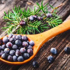 Natural Dried Juniper Berries Premium Export Quality New Season Organic Bulk Wholesale Private Label Supply OEM Service - Product Image 5