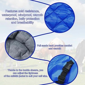 Abrigo Ajustable de Nylon para Terneros, Resistente al Agua y al Viento, Ligero, Acolchado, para Ganado, Manta para Cabritos, Burritos y Potros Recién Nacidos - Product Image 3