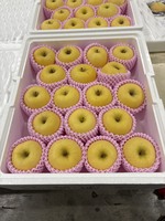 Qualité Fabuleuse Qualités Supérieures Pommes Japonaises Rouges Jaunes Texture Croustillante Vertes Fruits Frais Importateurs